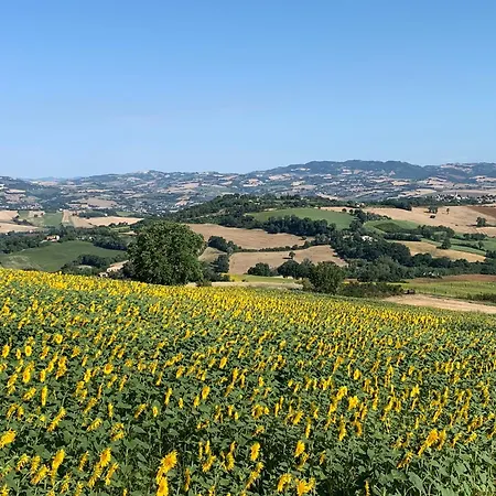 Hébergement de vacances Casa Tartufo E Mare