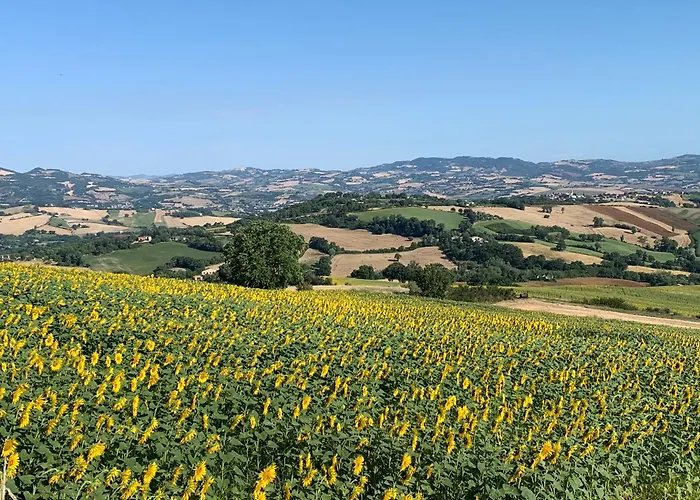 Holiday home Casa Tartufo E Mare